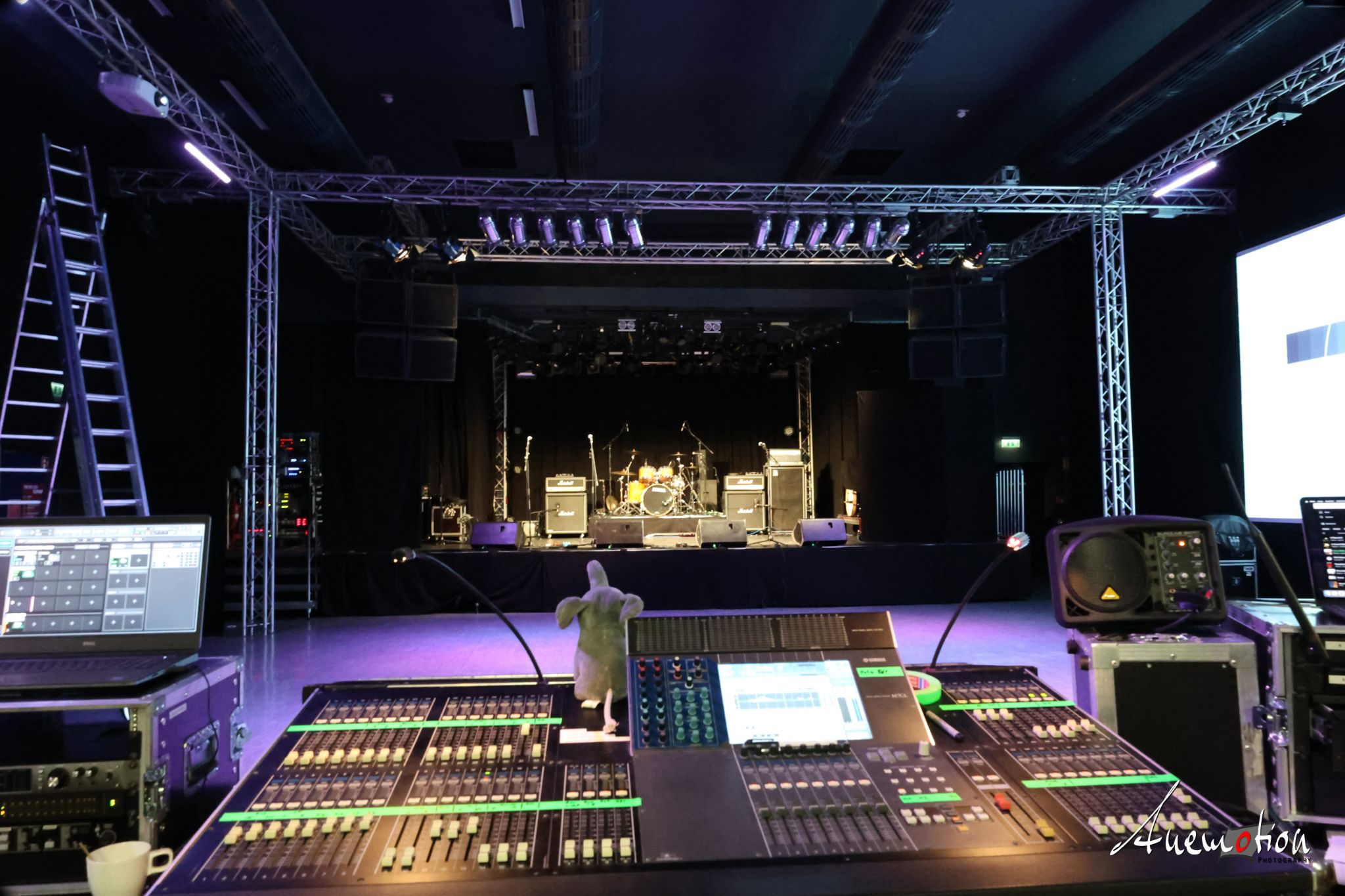 Elephants Falling 2024